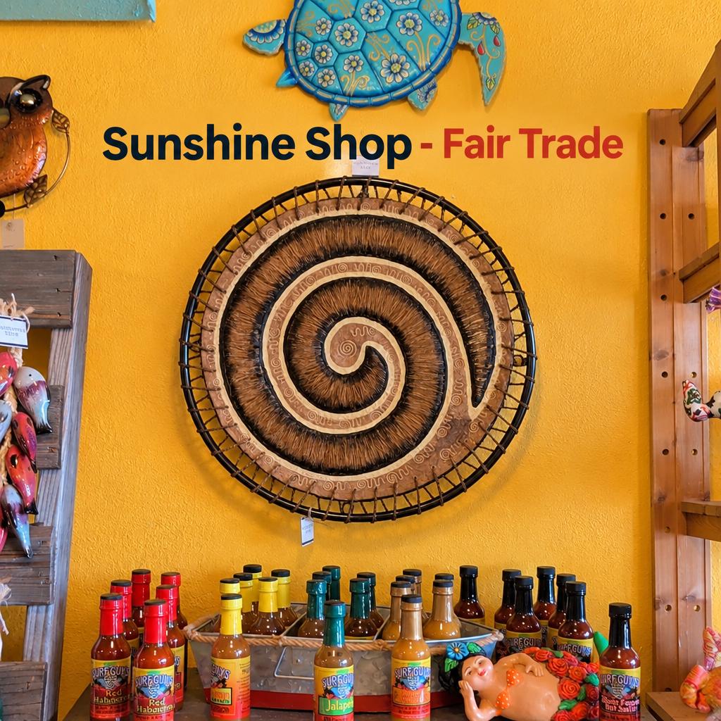 We wandered into Sunshine Shop in downtown Cocoa Beach today. I met Lynn and heard some very interesting stories. She…